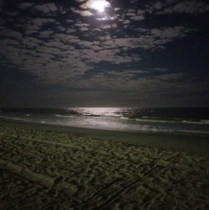 Meet your Posher, Brad